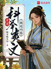 穿进科举爽文被迫内卷
